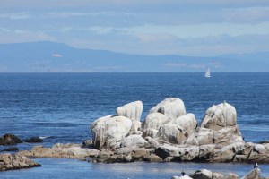 Monterrey Bay, California