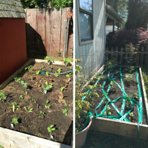 Untitled design (17)