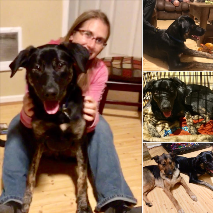 Screen Shot 2018-02-24 at 4.44.51 PM